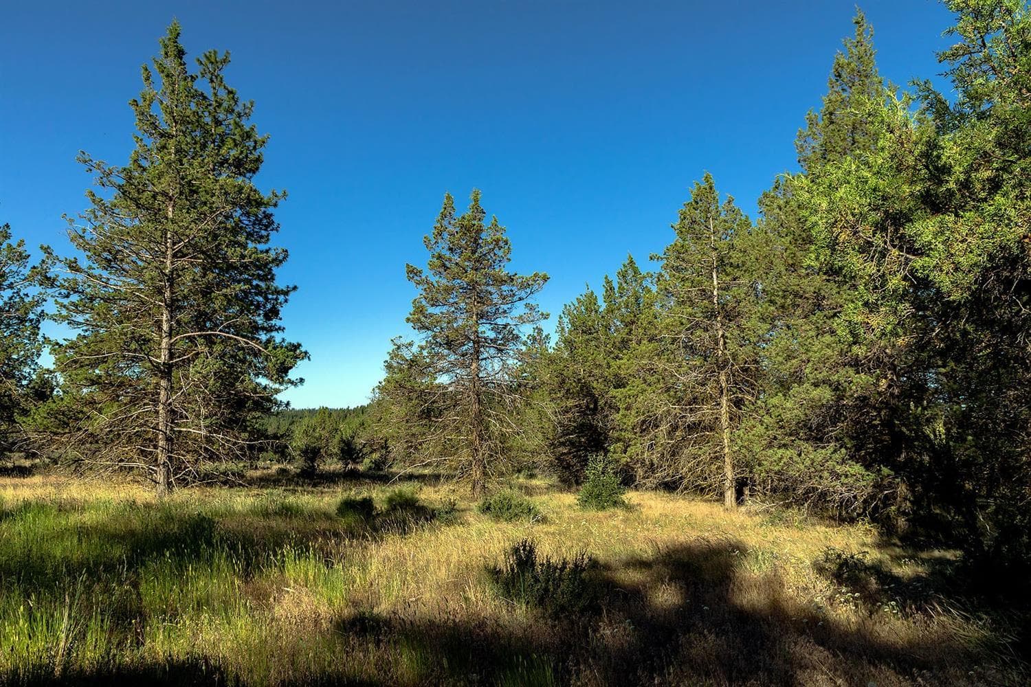 Additional Photo. Photo 4 of 27, 986 Beattys Butte Drive, Klamath Falls, OR 97601
