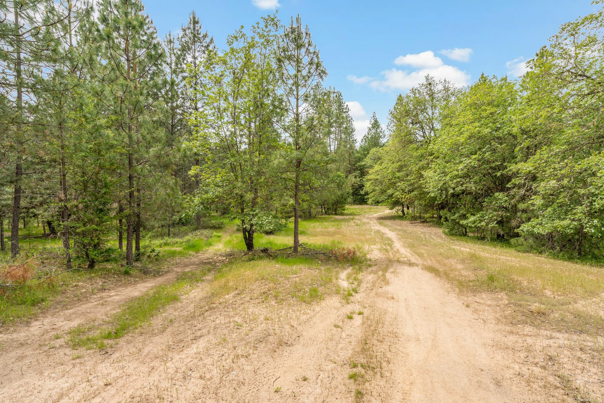3. Photo 3 of 17, TL100 Walker Road, Grants Pass, OR 97527