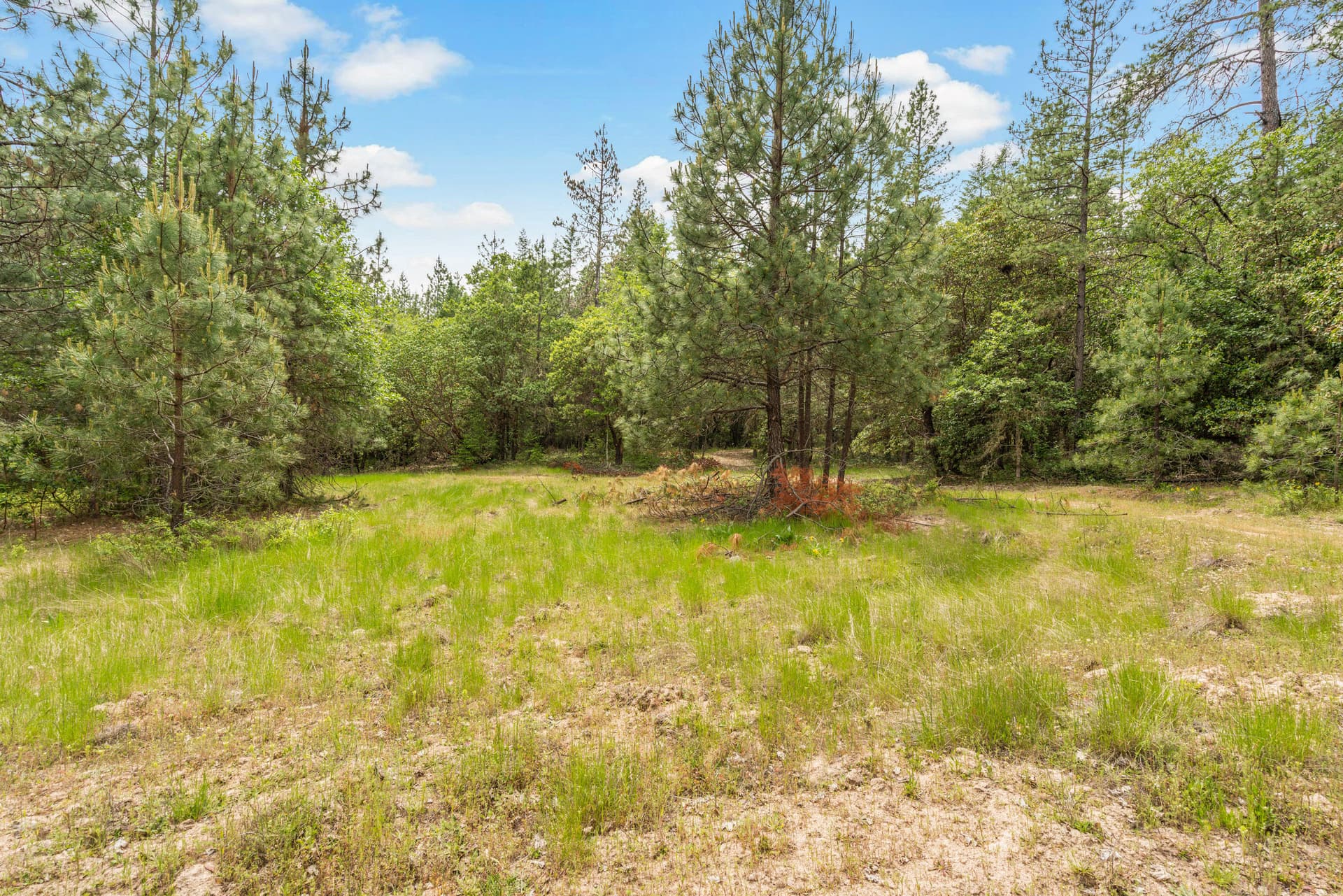 5. Photo 5 of 17, TL100 Walker Road, Grants Pass, OR 97527