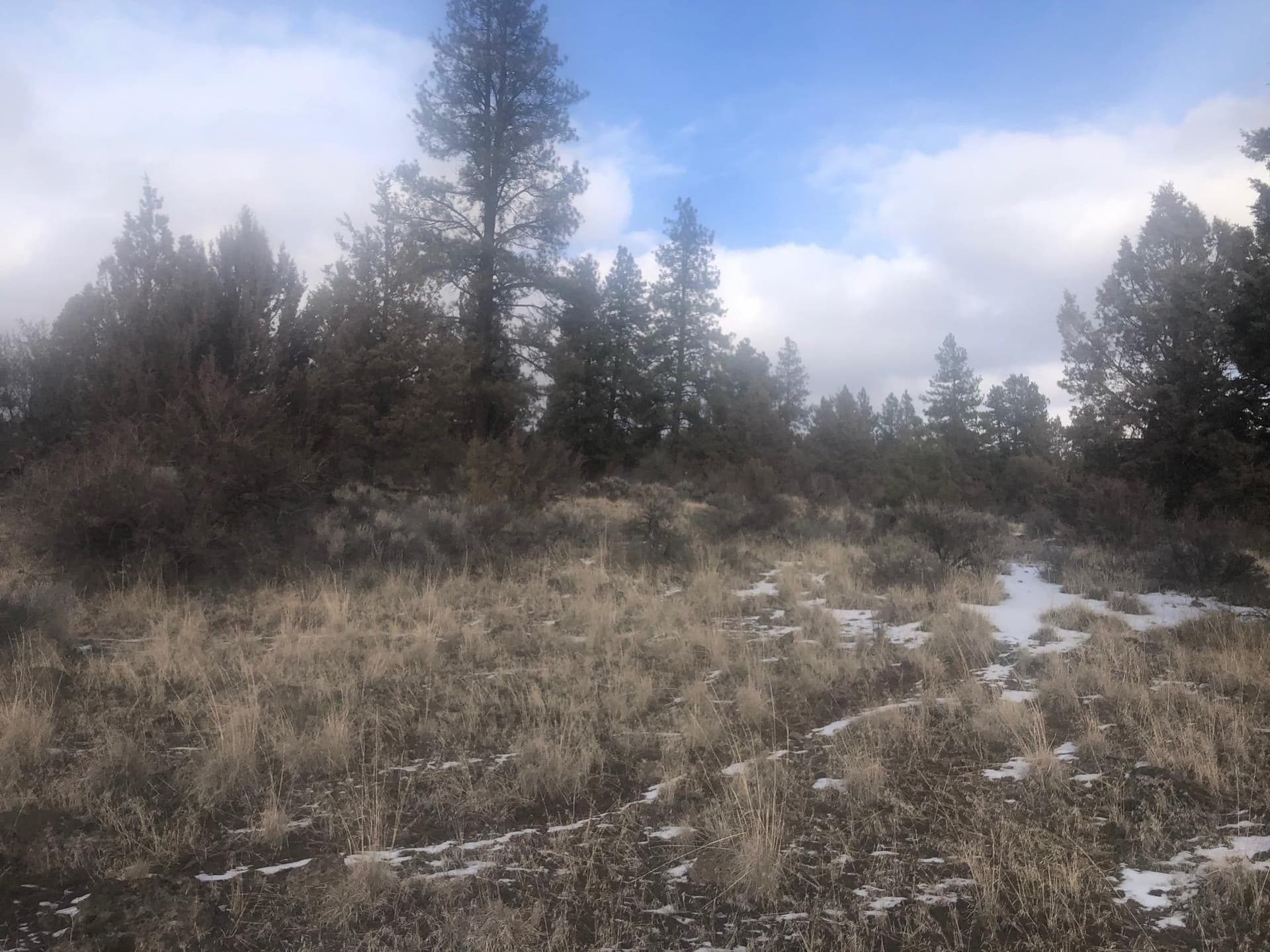 IMG_3943. Photo 2 of 15, Mina Bird Drive Unit lot 1000, Bonanza, OR 97623