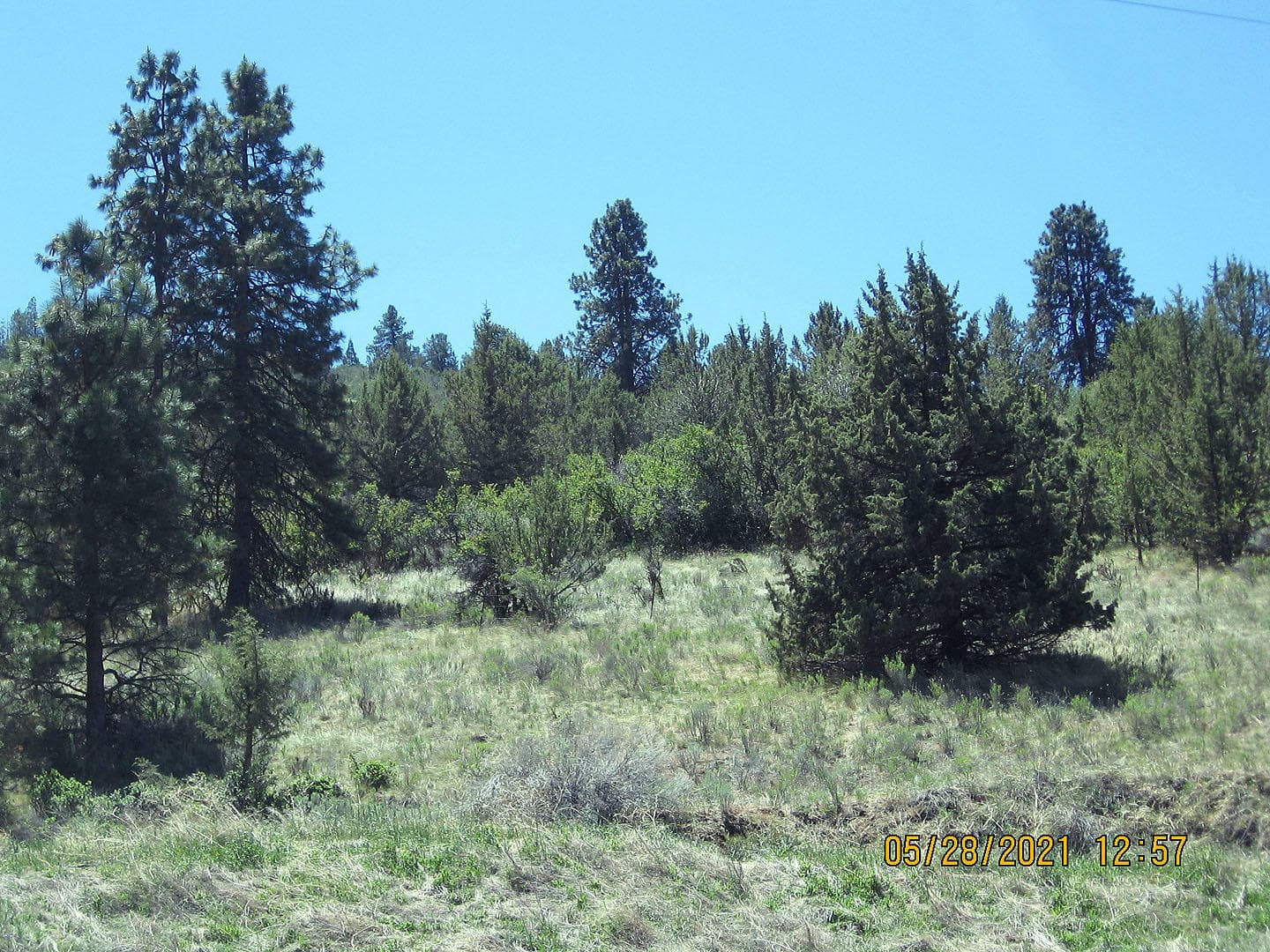 peregrine04. Photo 4 of 13, Lot 3 Peregrine Heights, Klamath Falls, OR 97601