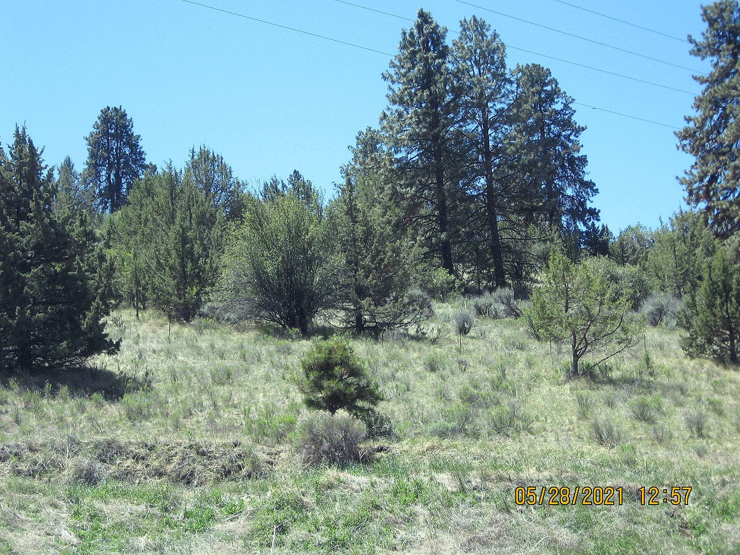 peregrine05. Photo 5 of 13, Lot 3 Peregrine Heights, Klamath Falls, OR 97601