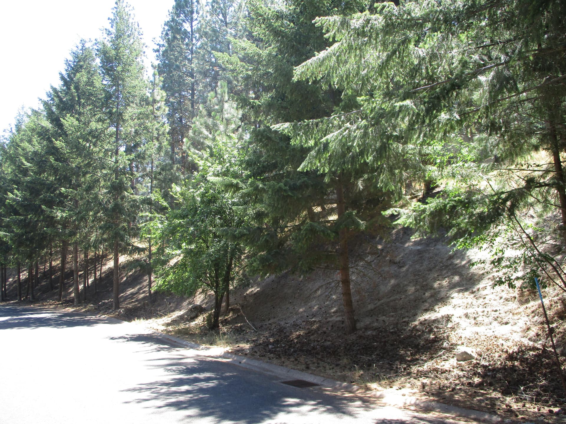 IMG_0676. Photo 4 of 10, 930 Wild Plum Drive, Klamath Falls, OR 97601