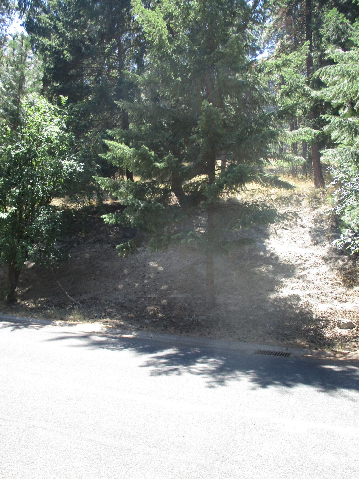 IMG_0674. Photo 2 of 10, 930 Wild Plum Drive, Klamath Falls, OR 97601