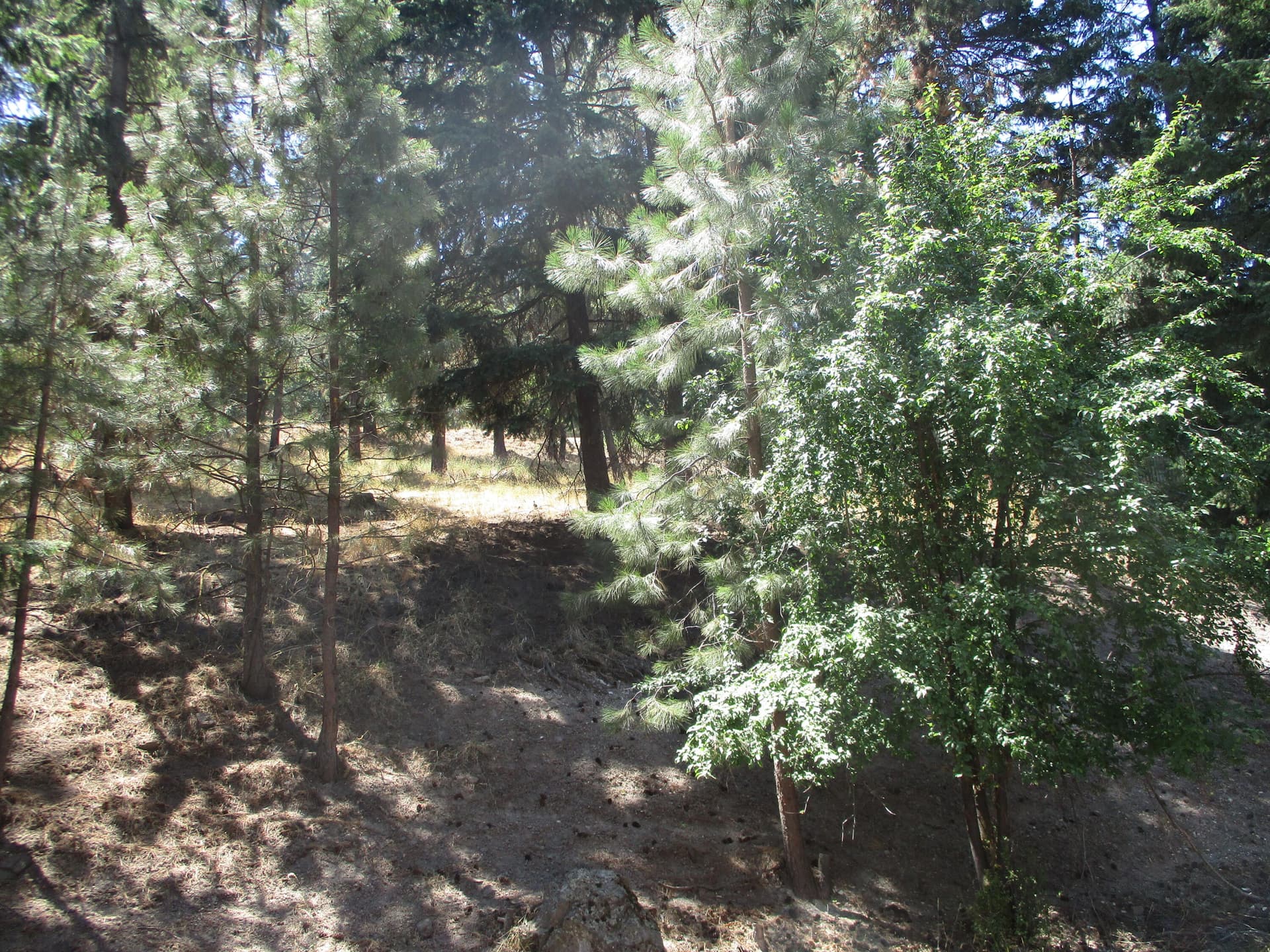 IMG_0683. Photo 5 of 10, 930 Wild Plum Drive, Klamath Falls, OR 97601