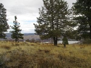 Front photo. Photo 1 of 1, 851 Bailey Mountain Road, Klamath Falls, OR 97601