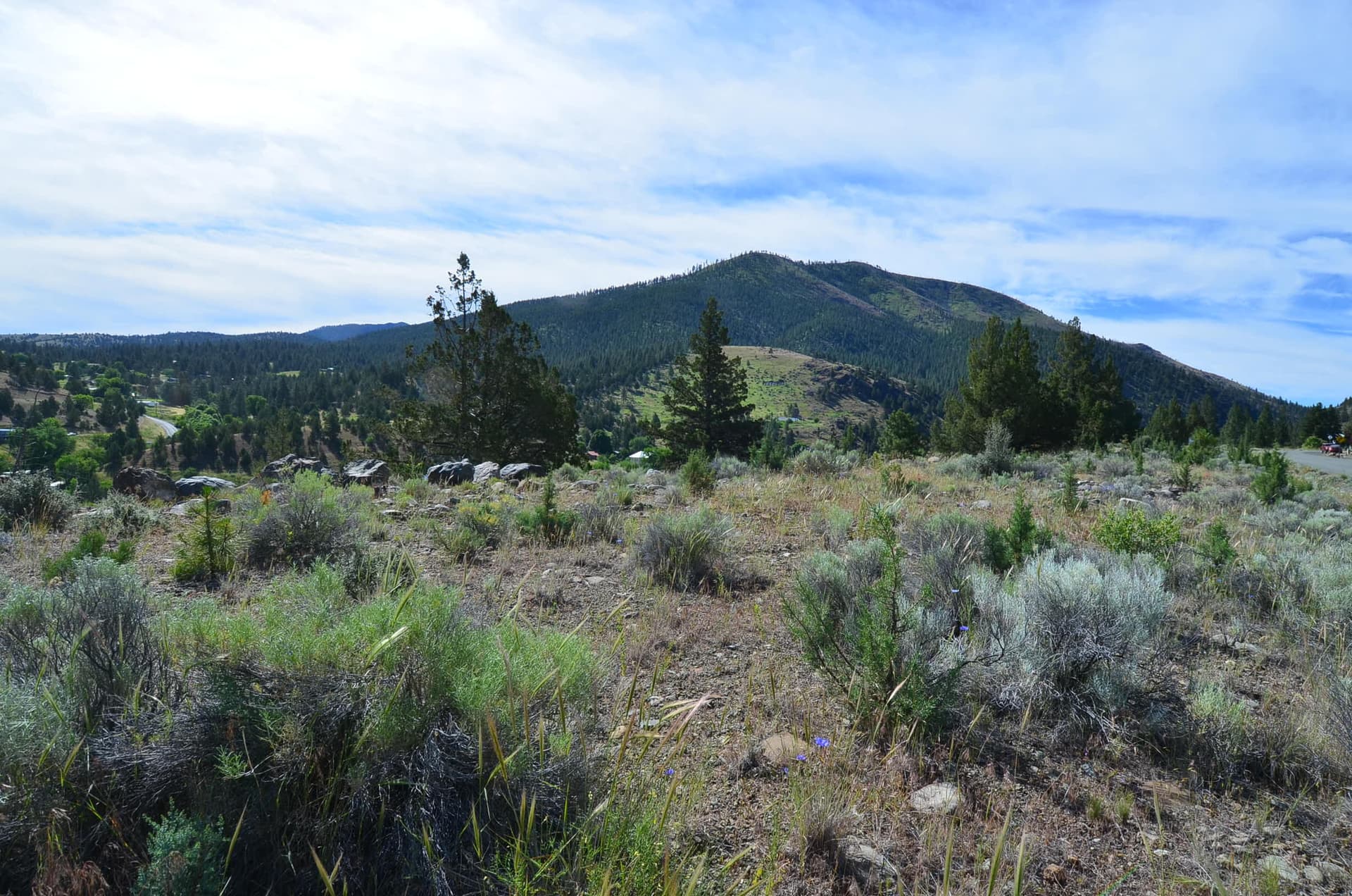 DSC_2509. Photo 1 of 8, 216 Elkview Drive, Canyon City, OR 97820