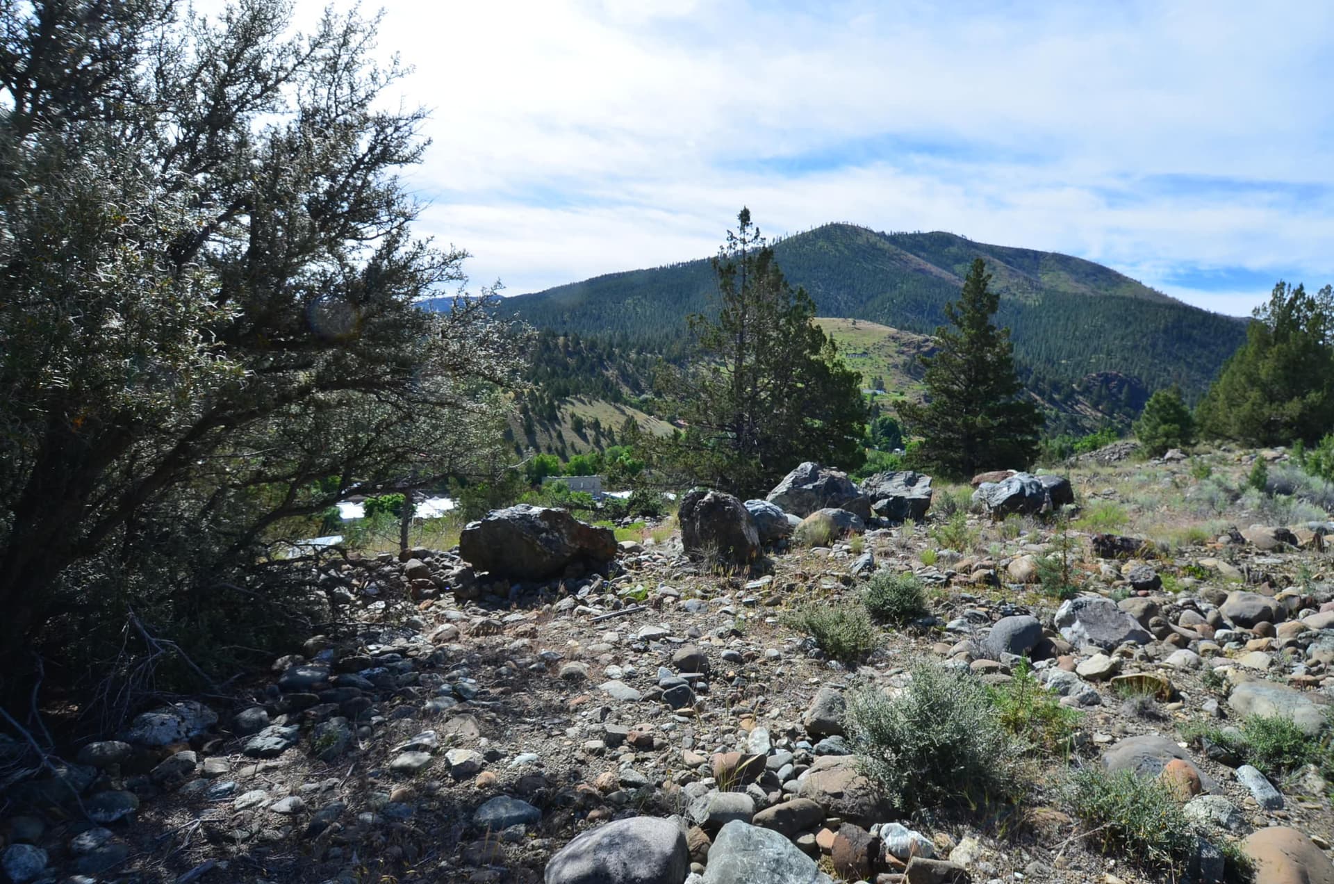 DSC_2510. Photo 3 of 8, 216 Elkview Drive, Canyon City, OR 97820