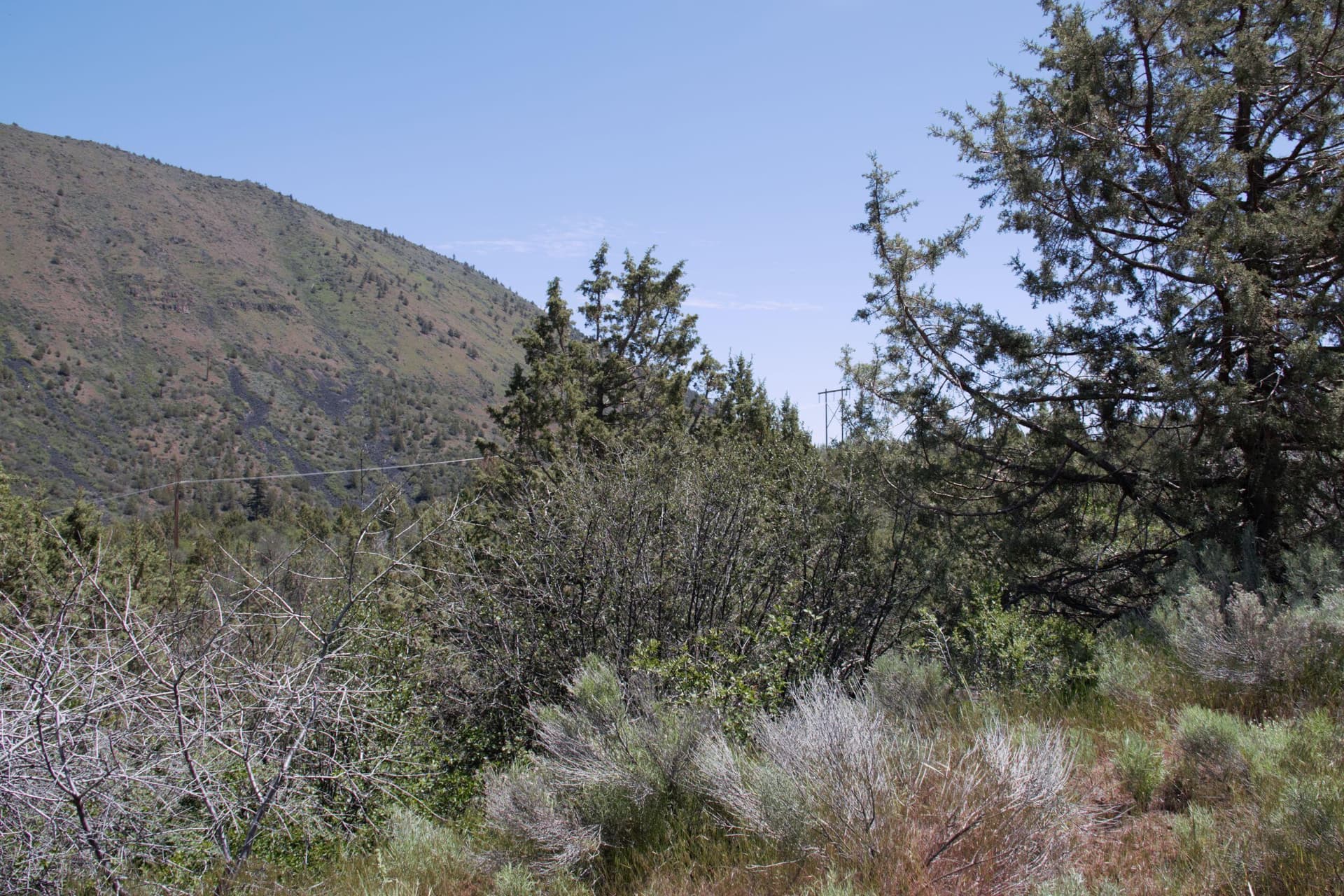 1. Photo 1 of 9, Peregrine Heights Unit Lot 37, Klamath Falls, OR 97601