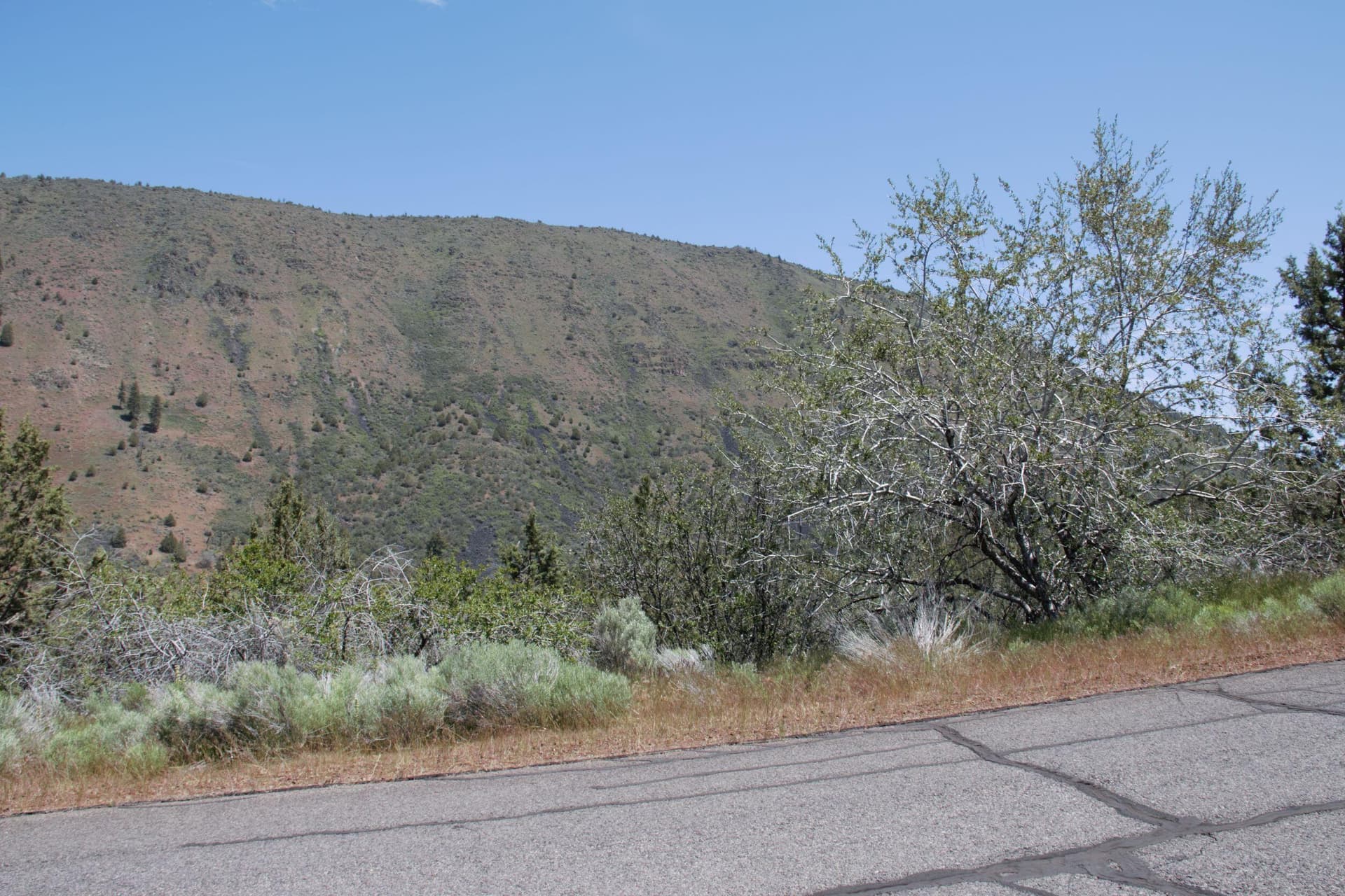 3. Photo 3 of 9, Peregrine Heights Unit Lot 37, Klamath Falls, OR 97601