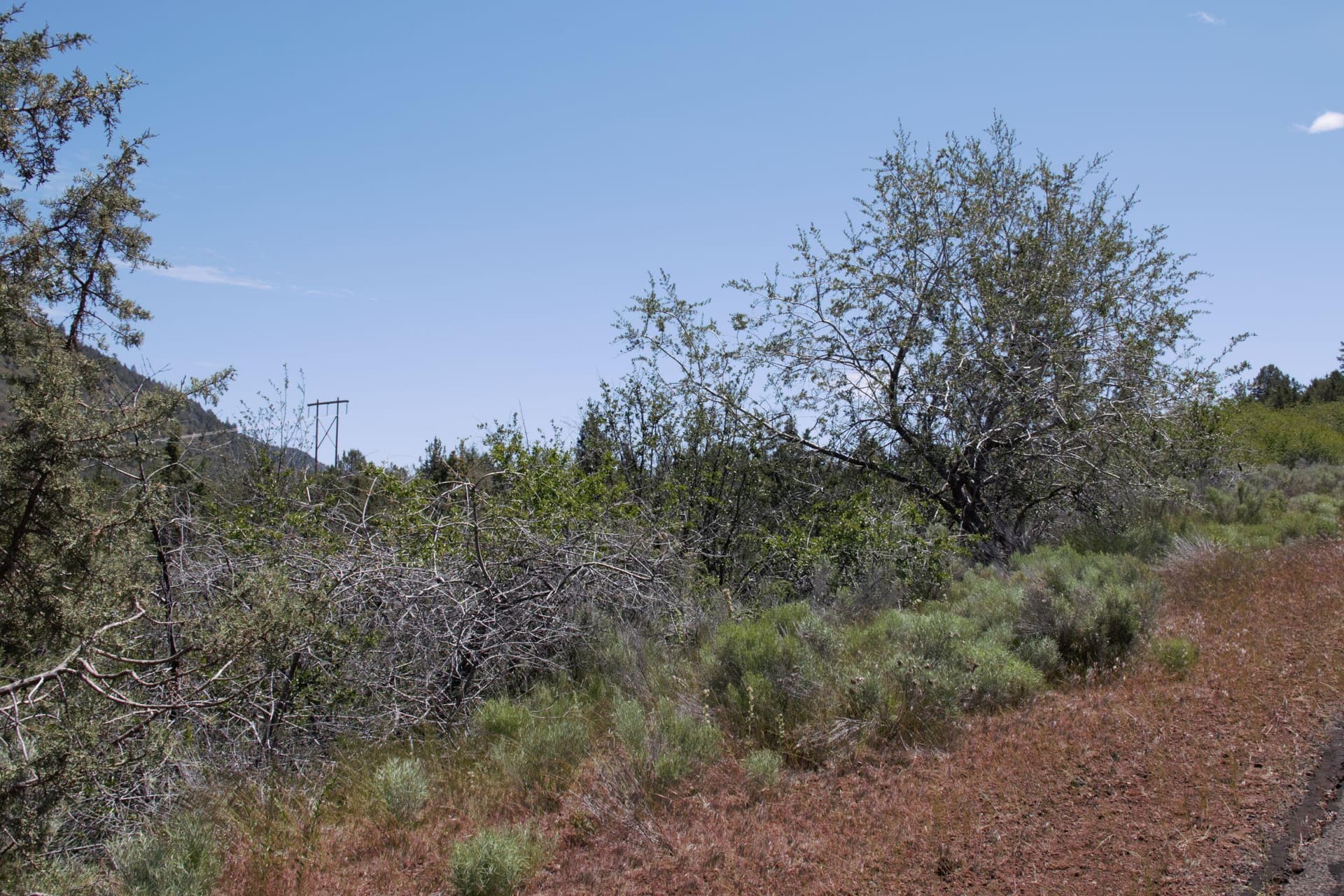 4. Photo 4 of 9, Peregrine Heights Unit Lot 37, Klamath Falls, OR 97601
