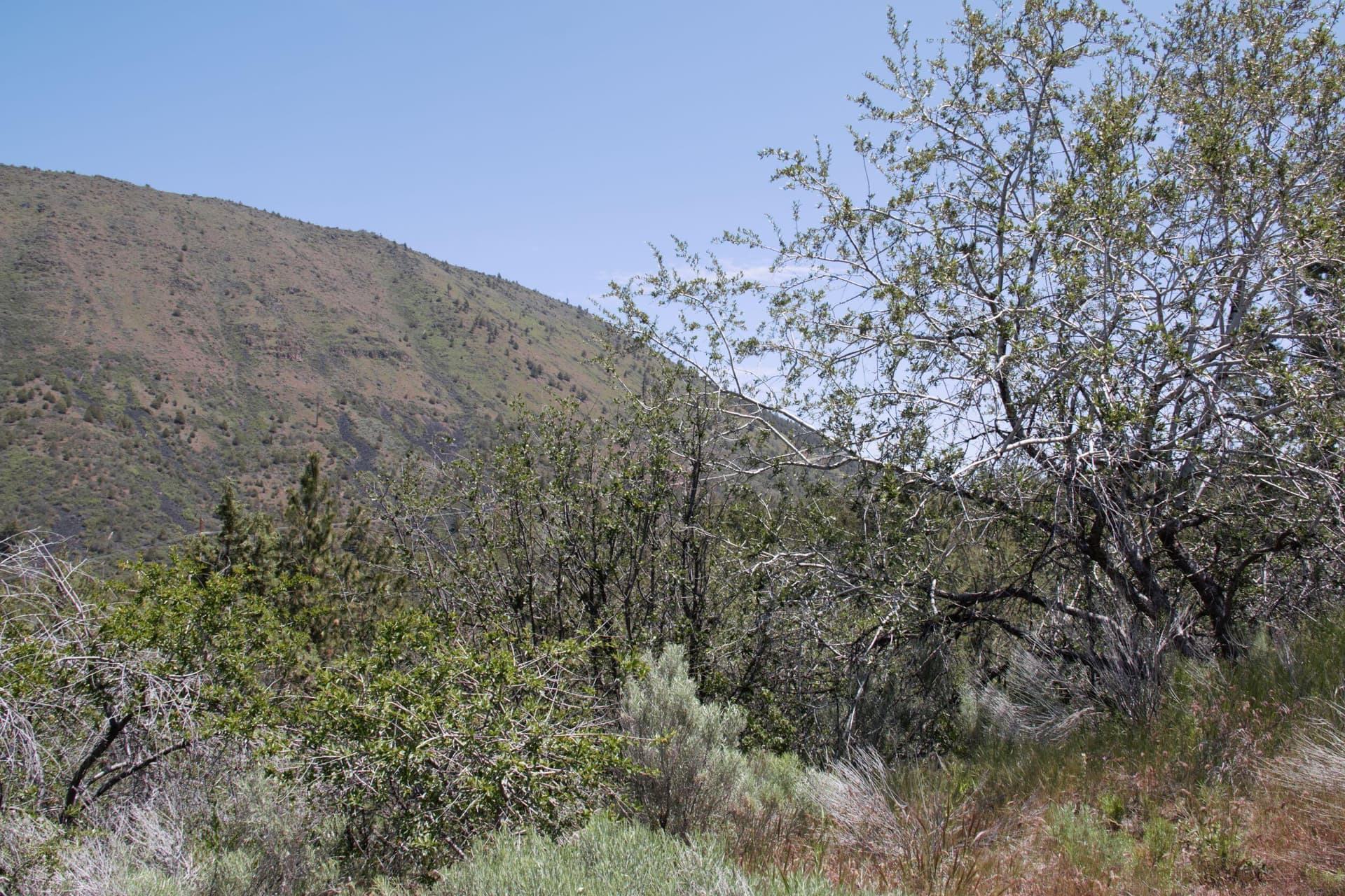 5. Photo 5 of 9, Peregrine Heights Unit Lot 37, Klamath Falls, OR 97601