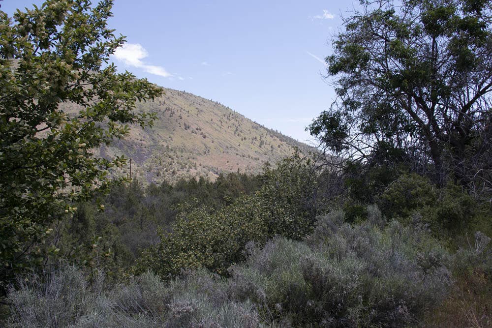 3. Photo 3 of 11, Peregrine Heights Unit Lot 38, Klamath Falls, OR 97601