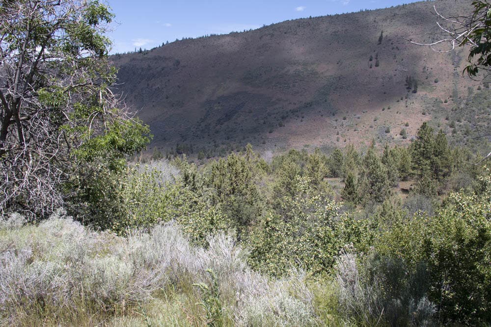 4. Photo 4 of 11, Peregrine Heights Unit Lot 38, Klamath Falls, OR 97601