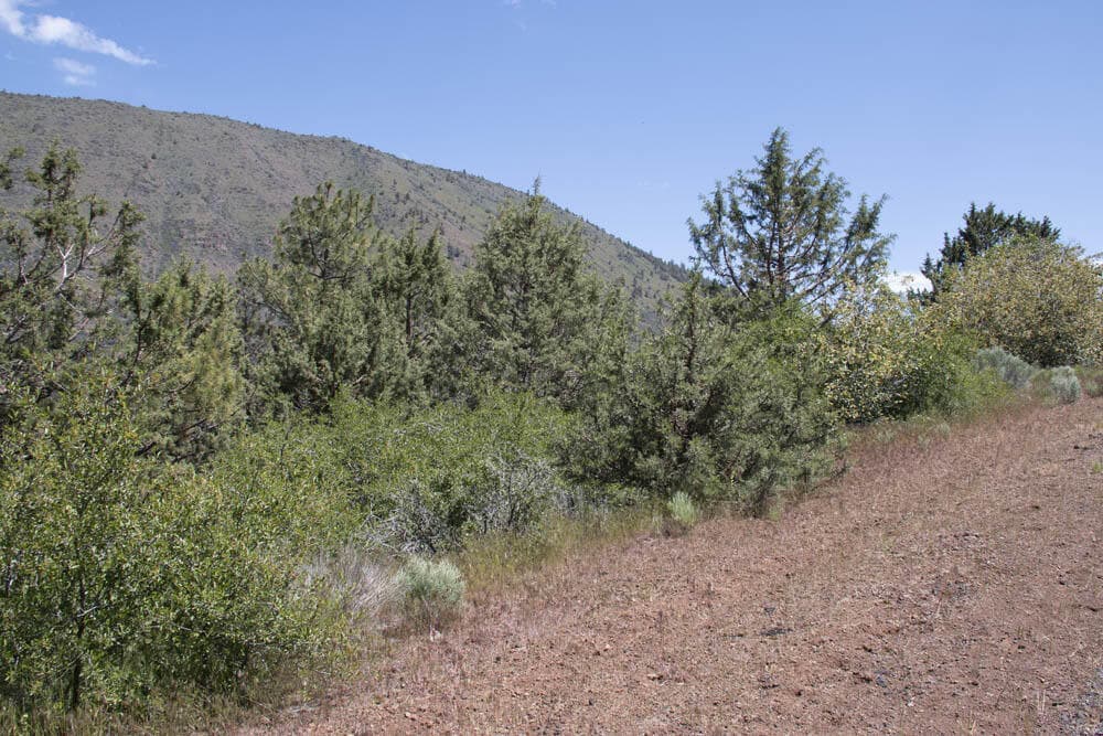 5. Photo 5 of 10, Peregrine Heights Unit Lot 39, Klamath Falls, OR 97601
