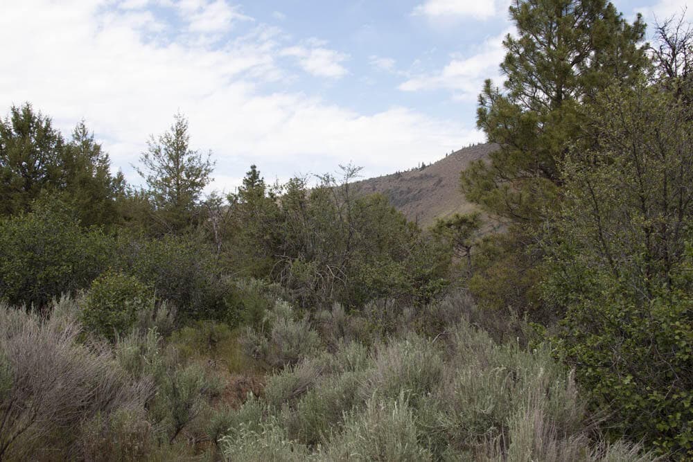 5. Photo 5 of 9, Stoneridge Drive Unit Lot 60, Klamath Falls, OR 97601