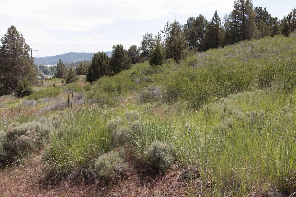 4. Photo 4 of 9, Peregrine Heights Unit Lot 81, Klamath Falls, OR 97601
