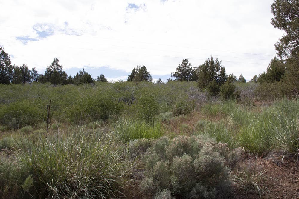 5. Photo 5 of 9, Peregrine Heights Unit Lot 81, Klamath Falls, OR 97601