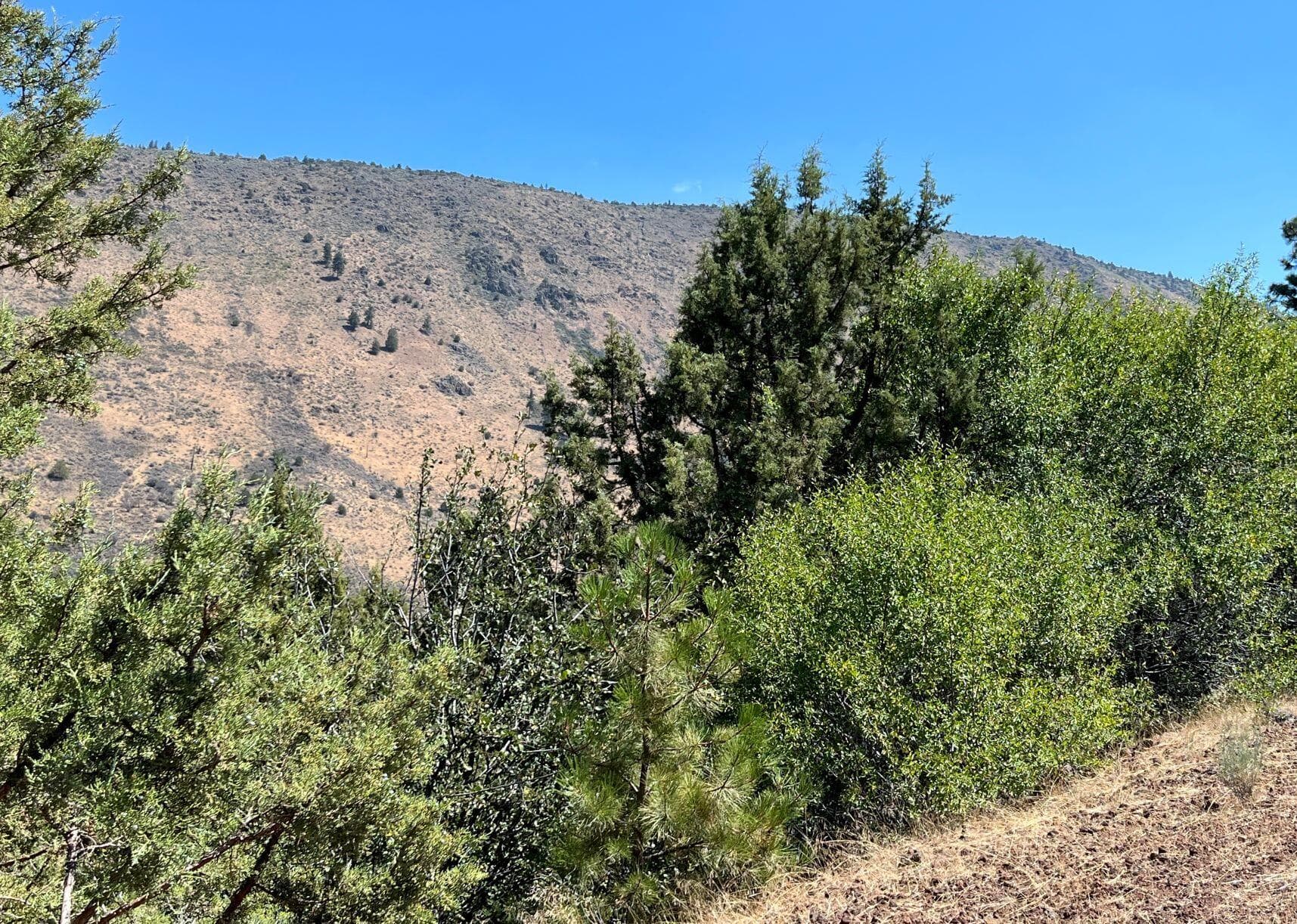picture 4. Photo 4 of 10, Peregrine Heights Unit Lot 8, Klamath Falls, OR 97601
