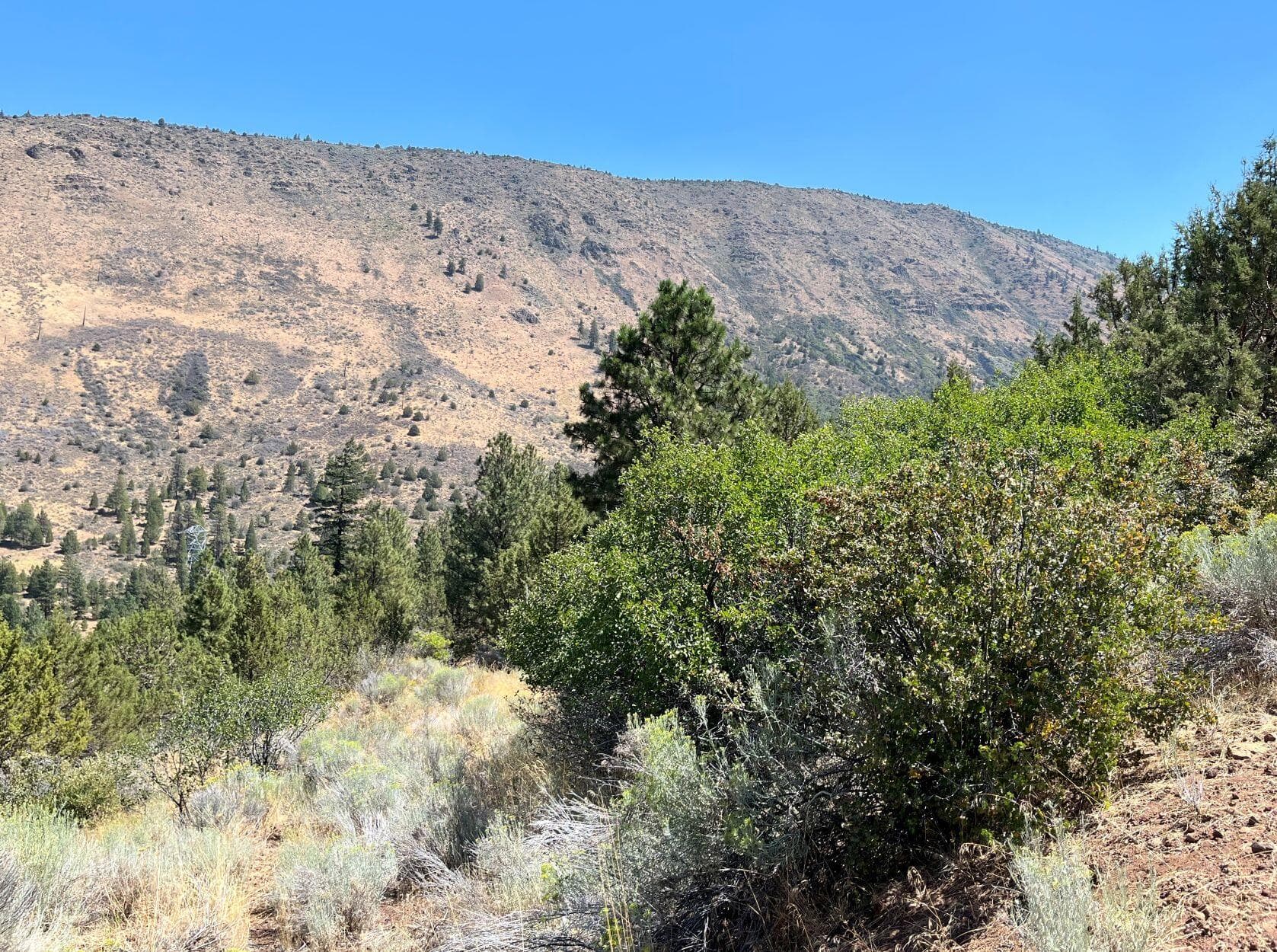 picture 5. Photo 5 of 10, Peregrine Heights Unit Lot 8, Klamath Falls, OR 97601
