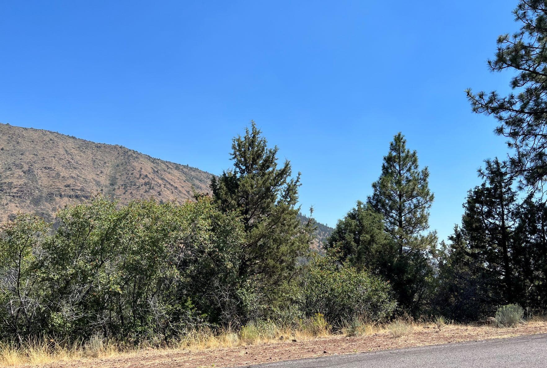 picture 1. Photo 1 of 11, Peregrine Heights Unit Lot 41, Klamath Falls, OR 97601