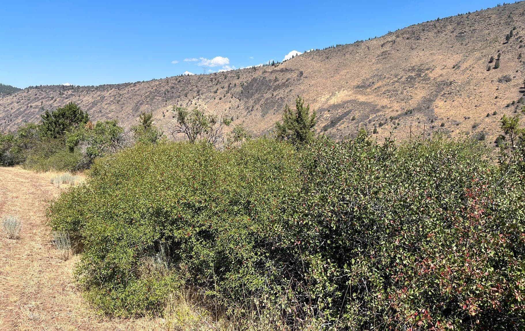 Picture 1. Photo 1 of 11, Lot 40 Peregrine Heights, Klamath Falls, OR 97601