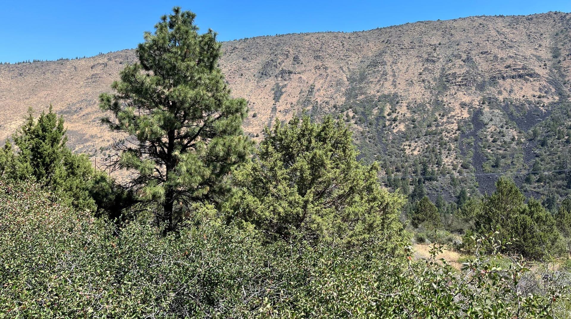 picture 3. Photo 3 of 11, Lot 40 Peregrine Heights, Klamath Falls, OR 97601