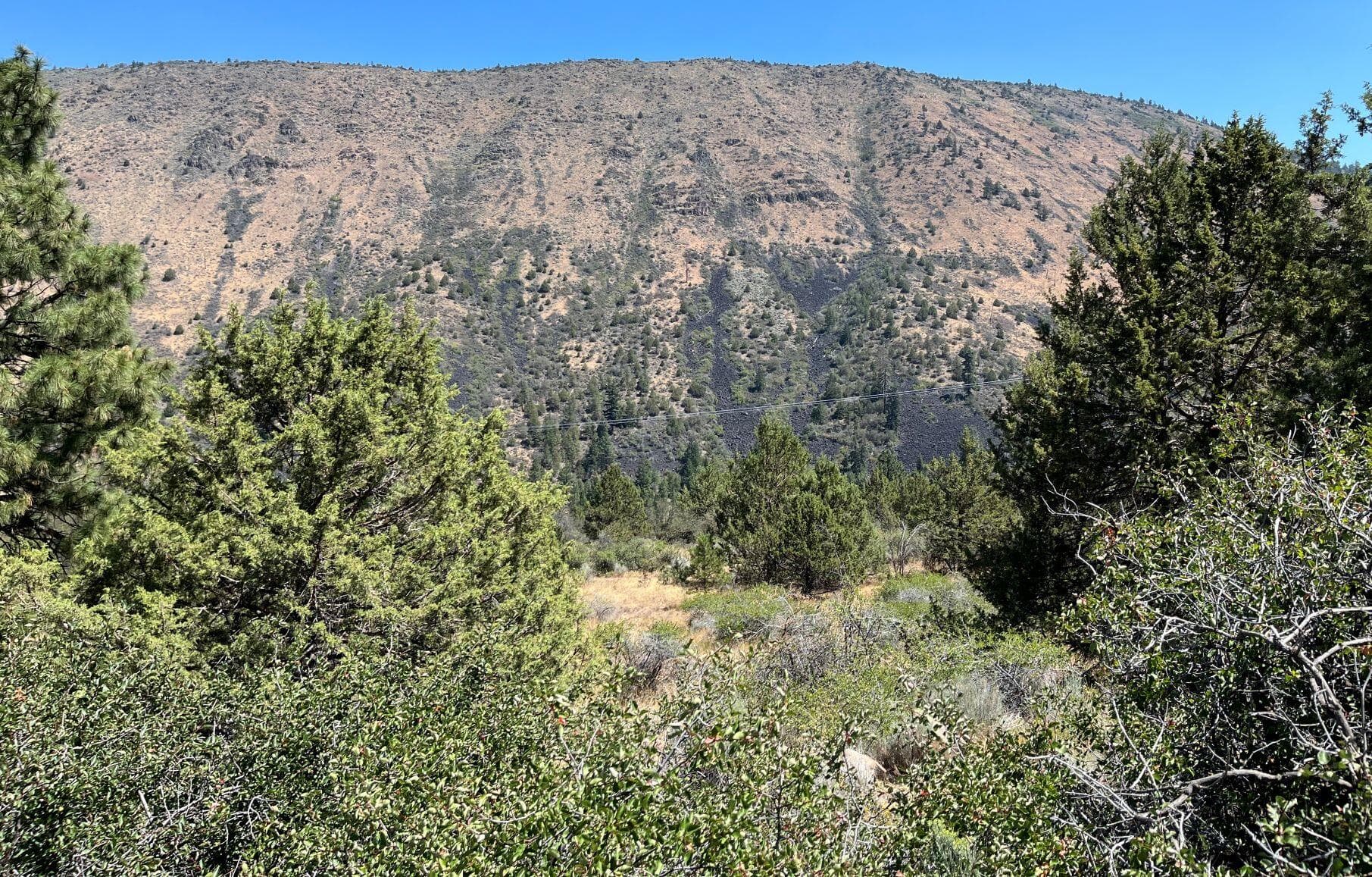 picture 4. Photo 4 of 11, Lot 40 Peregrine Heights, Klamath Falls, OR 97601