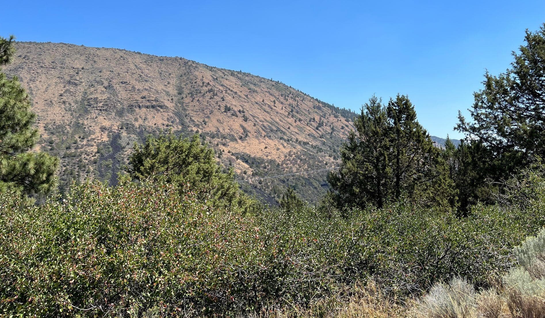 picture 5. Photo 5 of 11, Lot 40 Peregrine Heights, Klamath Falls, OR 97601