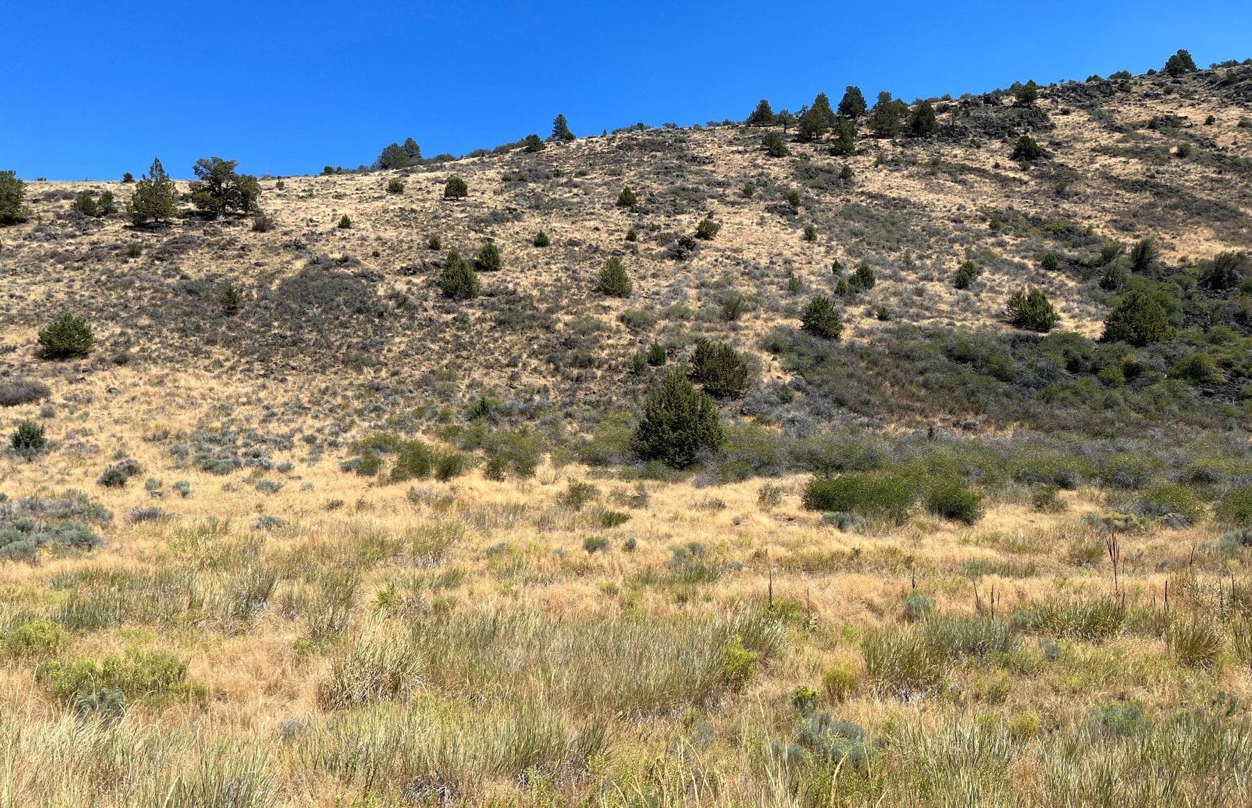 picture 1. Photo 1 of 9, Lot 82 Peregrine Heights, Klamath Falls, OR 97601