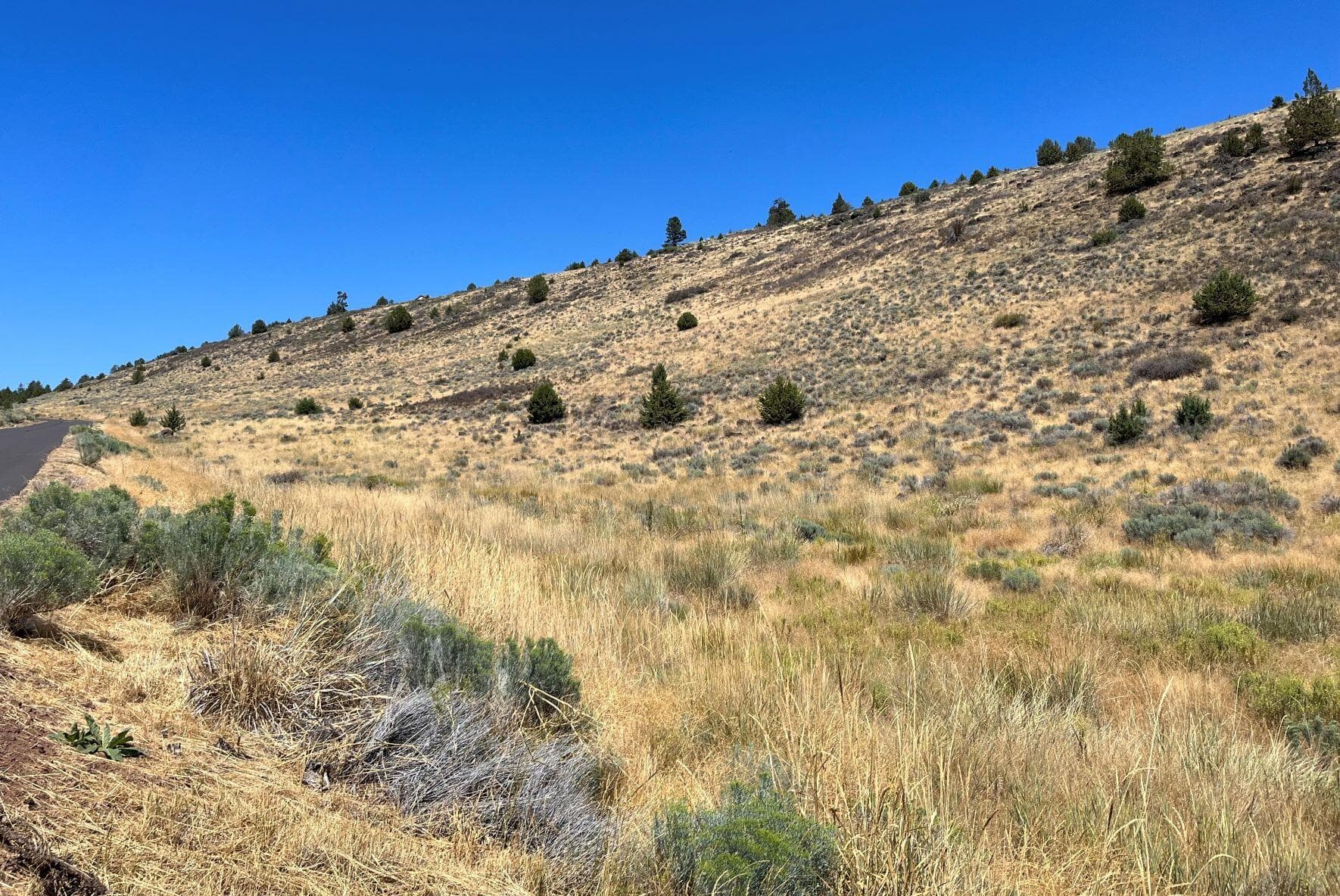 picture 3. Photo 3 of 9, Lot 82 Peregrine Heights, Klamath Falls, OR 97601