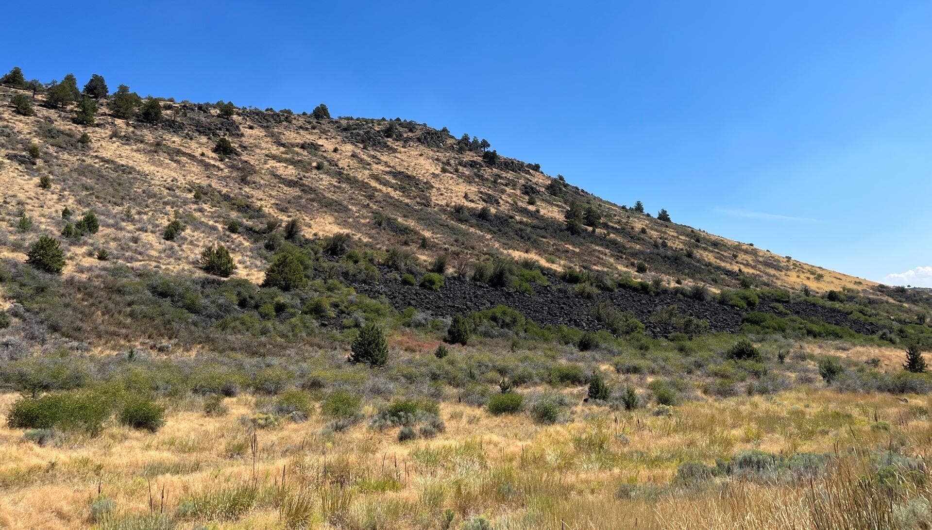 picture 4. Photo 4 of 9, Lot 82 Peregrine Heights, Klamath Falls, OR 97601