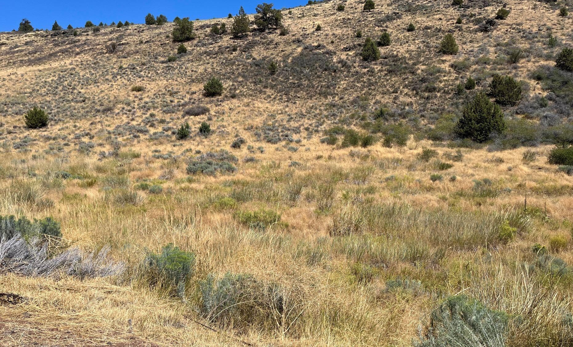 picture 5. Photo 5 of 9, Lot 82 Peregrine Heights, Klamath Falls, OR 97601