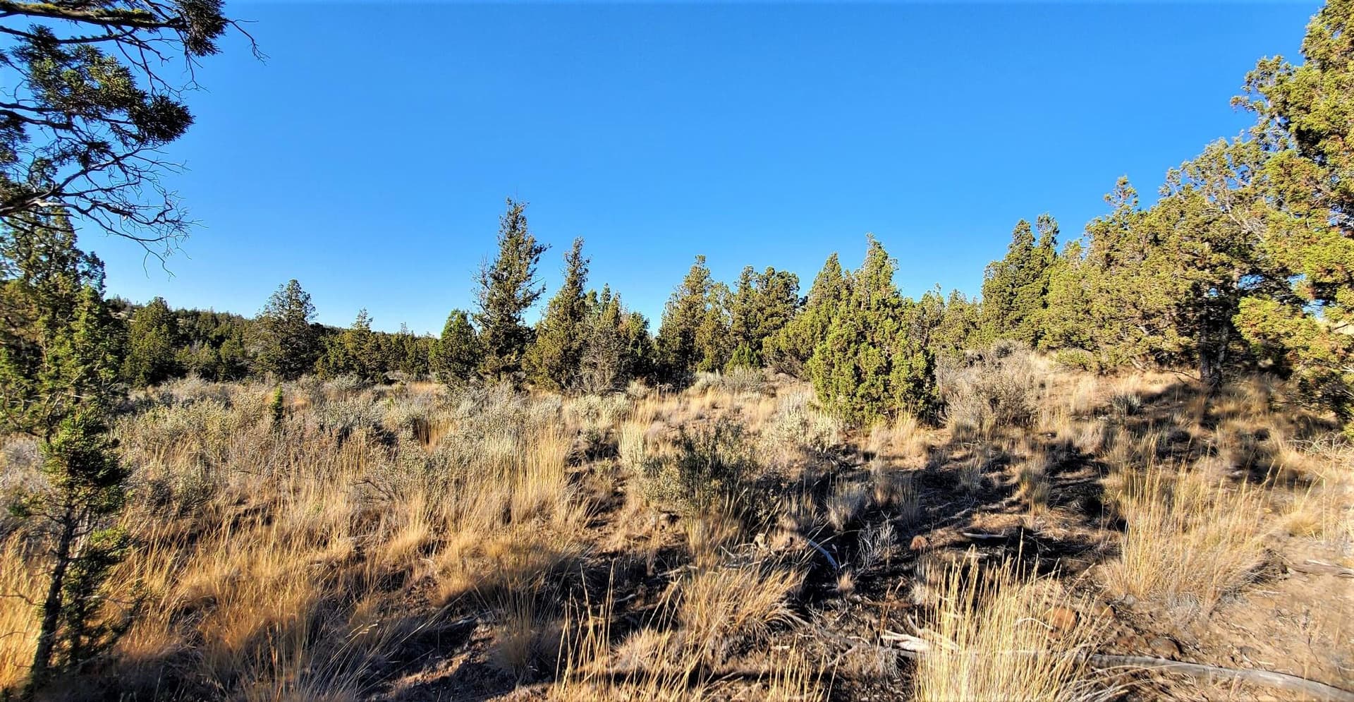 Lot 50 2. Photo 2 of 16, 2330 SE Texas Circle, Prineville, OR 97754