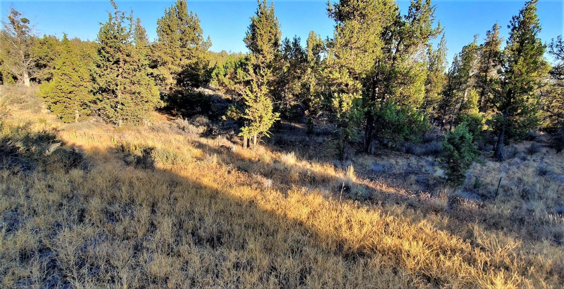 Lot 50 3. Photo 3 of 16, 2330 SE Texas Circle, Prineville, OR 97754