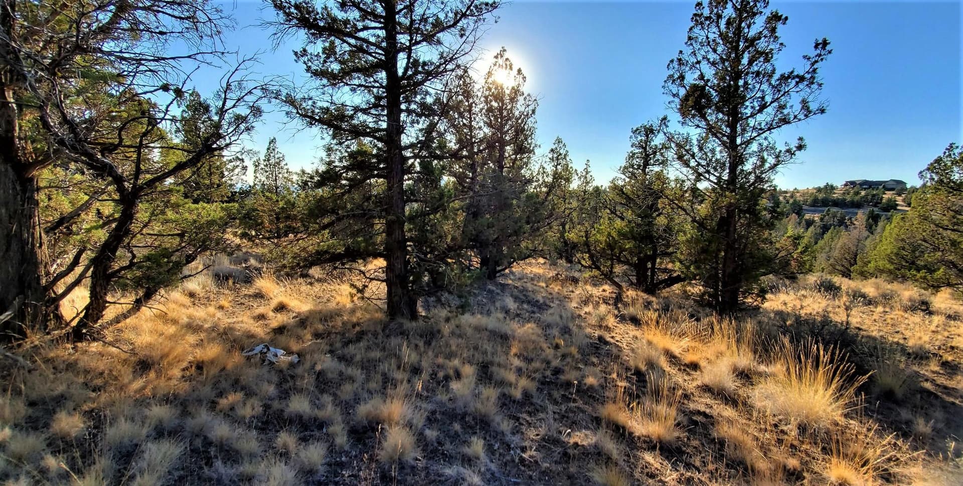 Lot 50 5. Photo 5 of 16, 2330 SE Texas Circle, Prineville, OR 97754