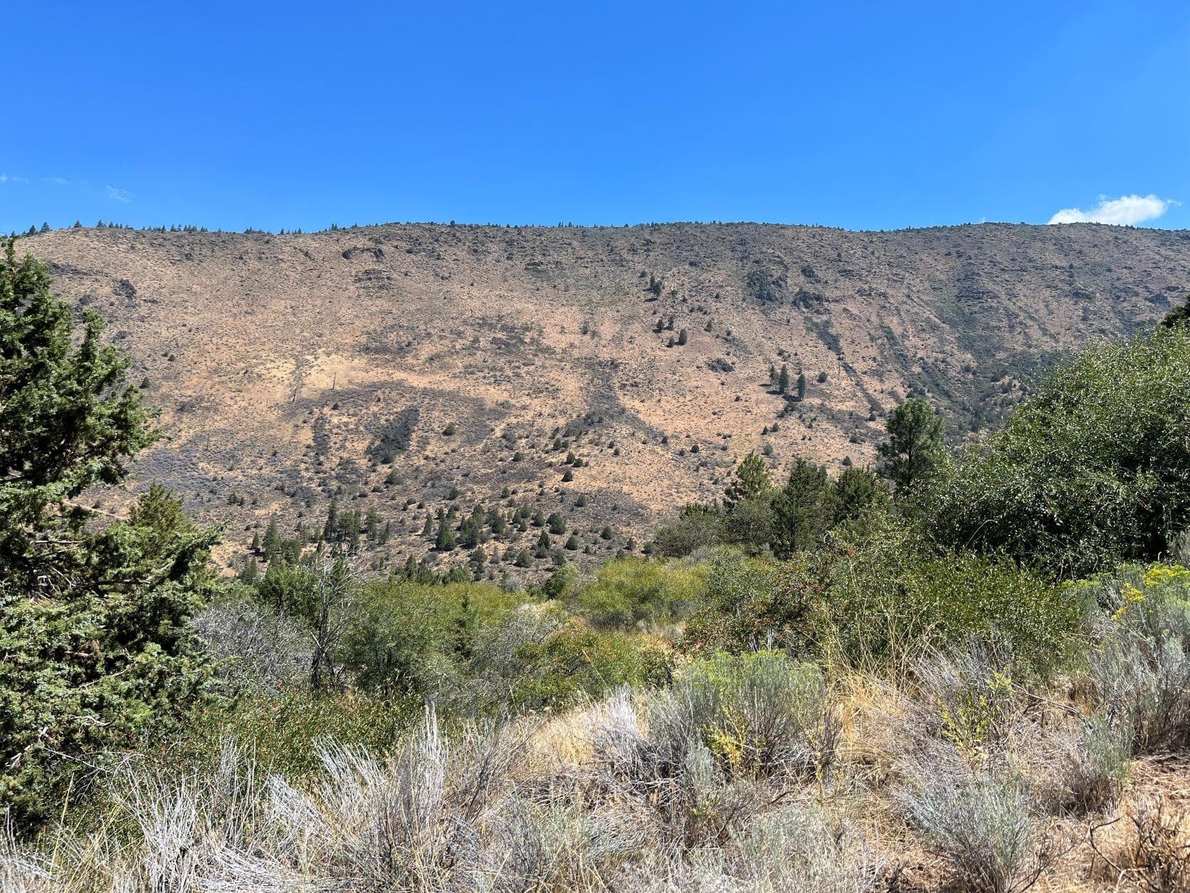 picture 4. Photo 4 of 10, Peregrine Heights Unit Lot 36, Klamath Falls, OR 97601