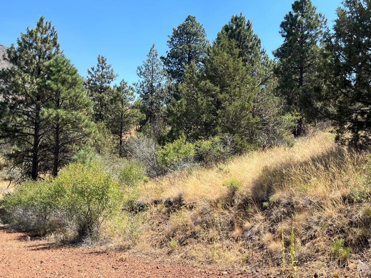 1. Photo 1 of 10, Lot 51 Peregrine Heights, Klamath Falls, OR 97601