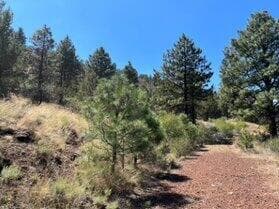 2. Photo 2 of 10, Lot 51 Peregrine Heights, Klamath Falls, OR 97601