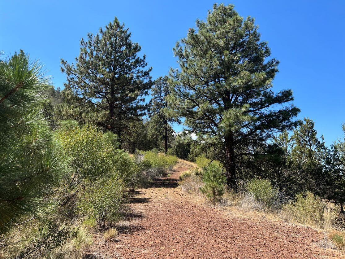 4. Photo 4 of 10, Lot 51 Peregrine Heights, Klamath Falls, OR 97601