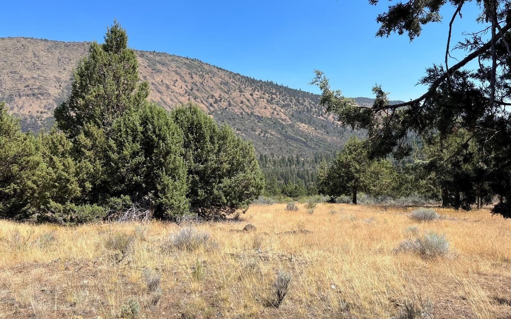 picture 2. Photo 2 of 8, Peregrene Heights Unit Lot 44, Klamath Falls, OR 97601