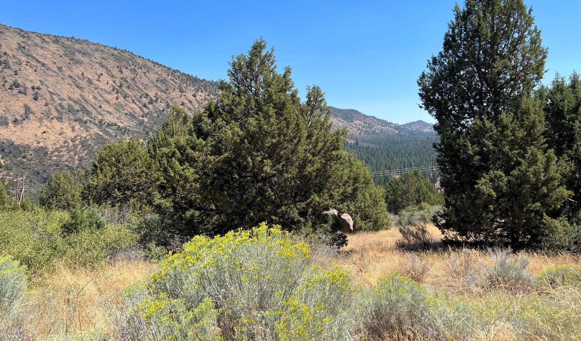 picture 5. Photo 5 of 8, Peregrene Heights Unit Lot 44, Klamath Falls, OR 97601