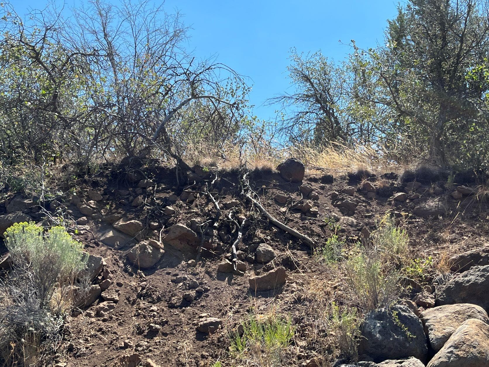 picture 4. Photo 4 of 9, Peregrine Heights Unit Lot 52, Klamath Falls, OR 97601