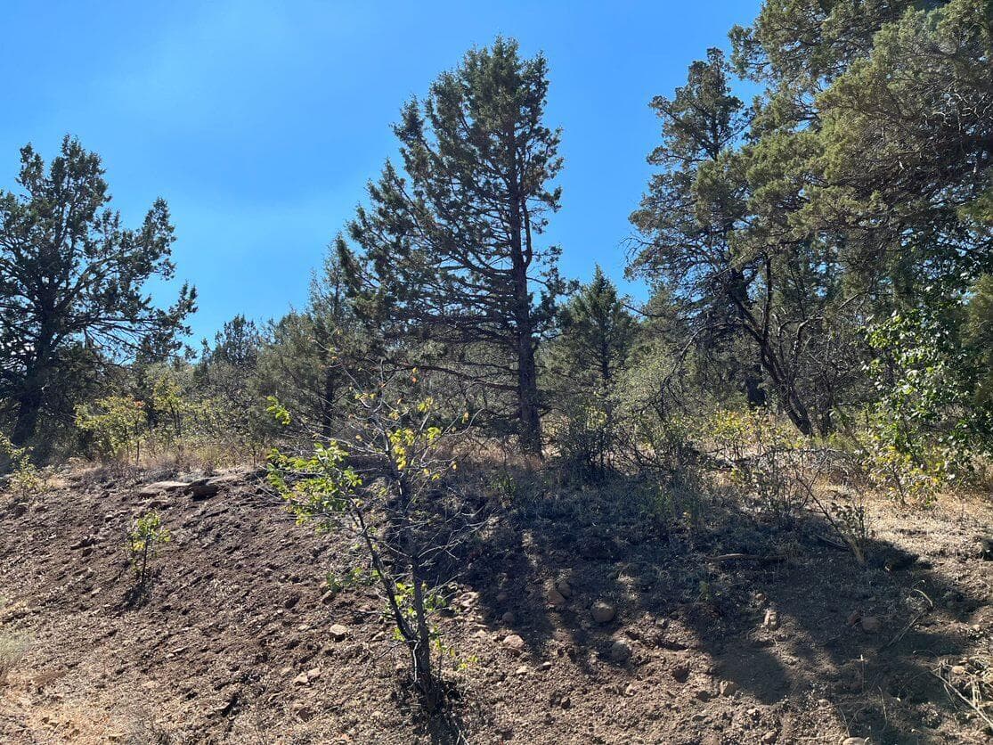 2. Photo 2 of 9, Peregrine Heights Unit Lot 56, Klamath Falls, OR 97601