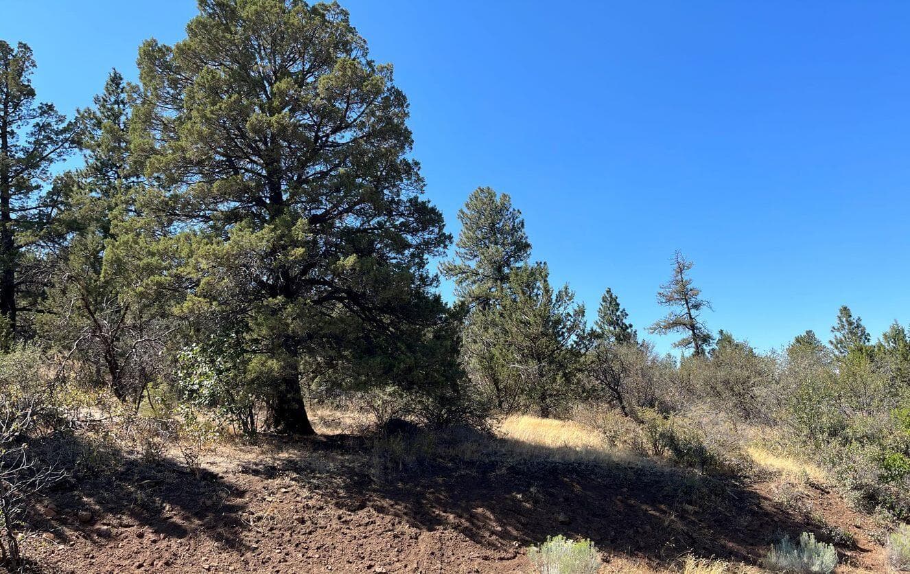 4. Photo 4 of 9, Peregrine Heights Unit Lot 56, Klamath Falls, OR 97601