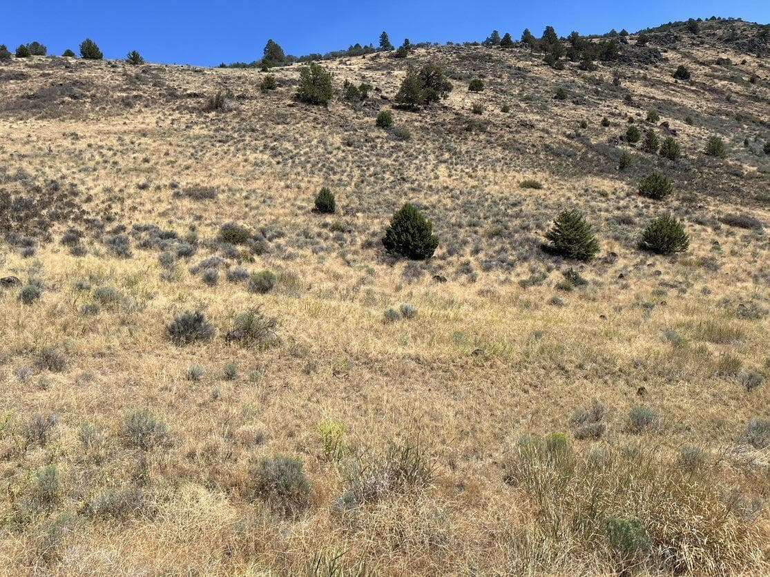 4. Photo 4 of 10, Peregrine Heights Unit Lot 83, Klamath Falls, OR 97601