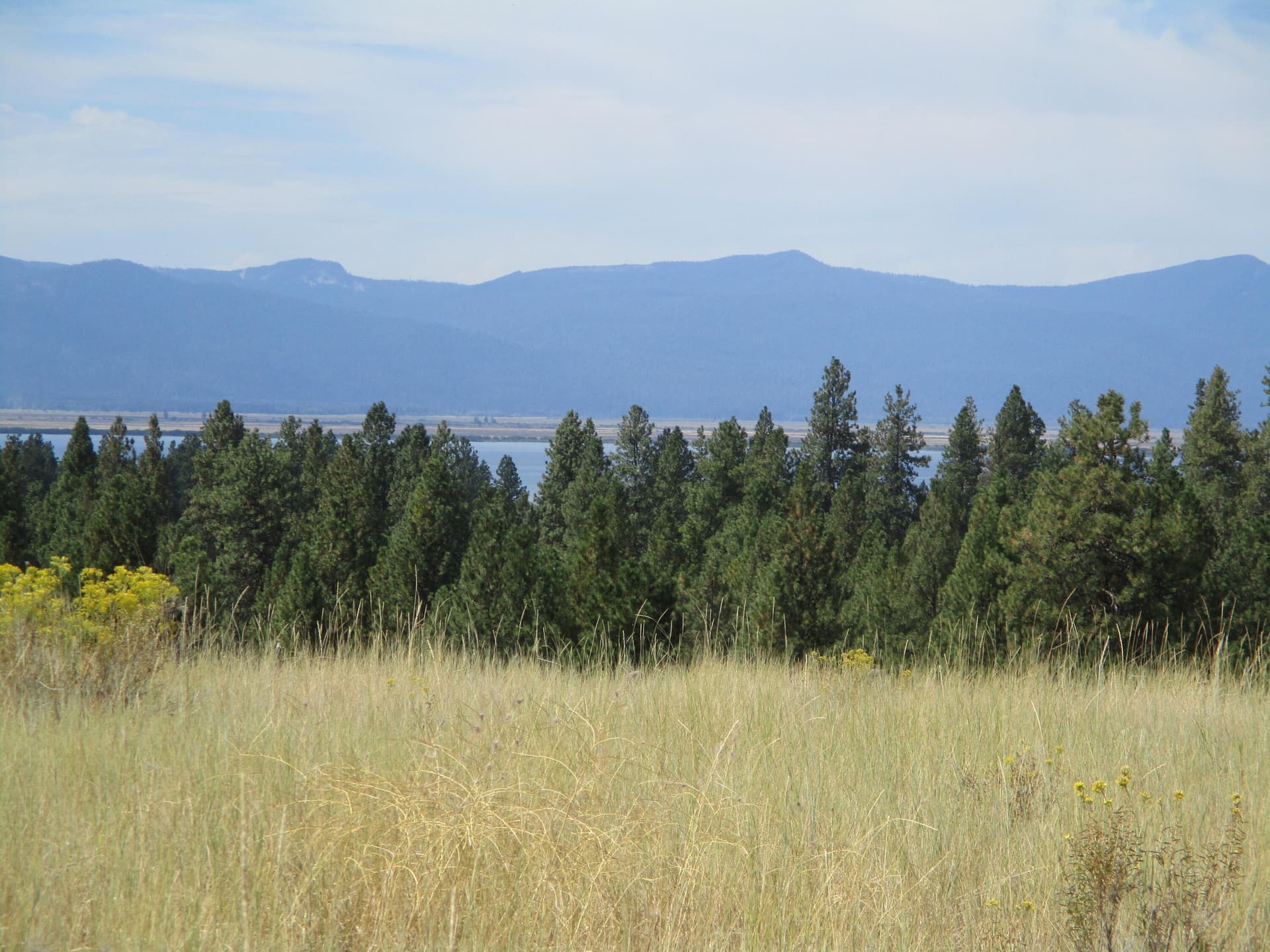 Dawn Loop 2. Photo 1 of 5, NKA Block 44 Lot 41 Dawn Loop, Chiloquin, OR 97624