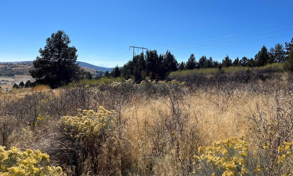 picture 3. Photo 3 of 10, Peregrine Heights Unit Lot 79, Klamath Falls, OR 97601