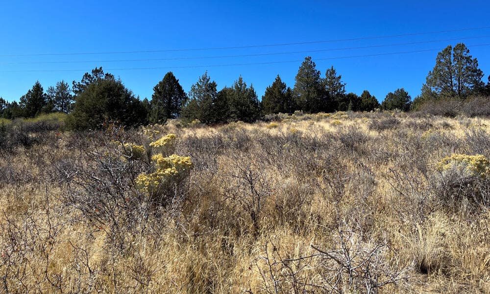 picture 5. Photo 5 of 10, Peregrine Heights Unit Lot 79, Klamath Falls, OR 97601