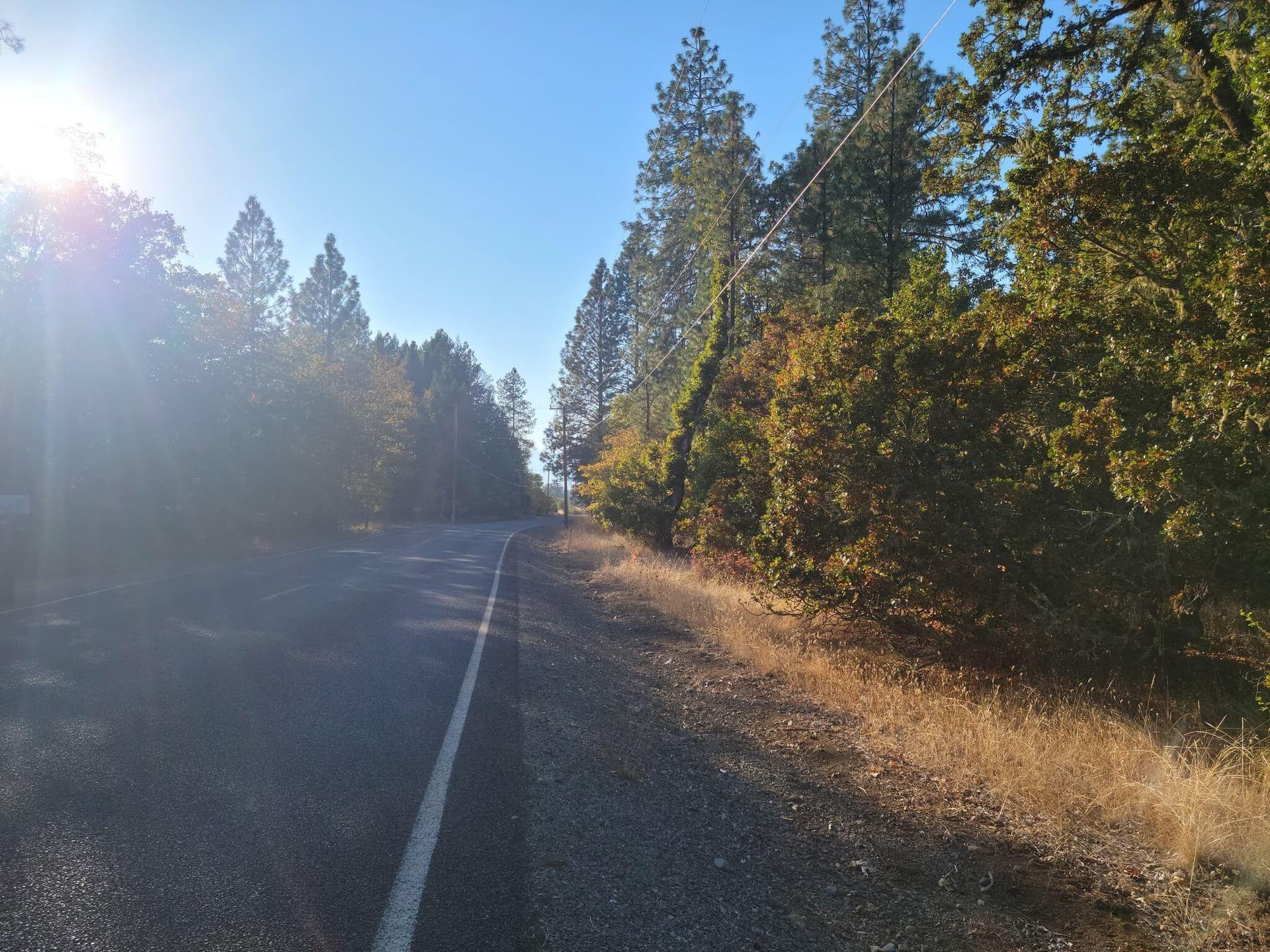 Garner 1. Photo 3 of 4, 109 Garner Road, Cave Junction, OR 97523